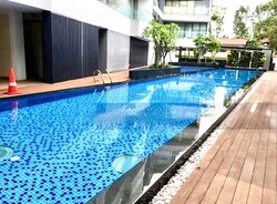 The Holland Collection (D10), Apartment #456585011